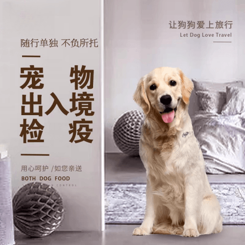 琼海市宠物托运到哥伦比亚猫狗宠物入境规定和