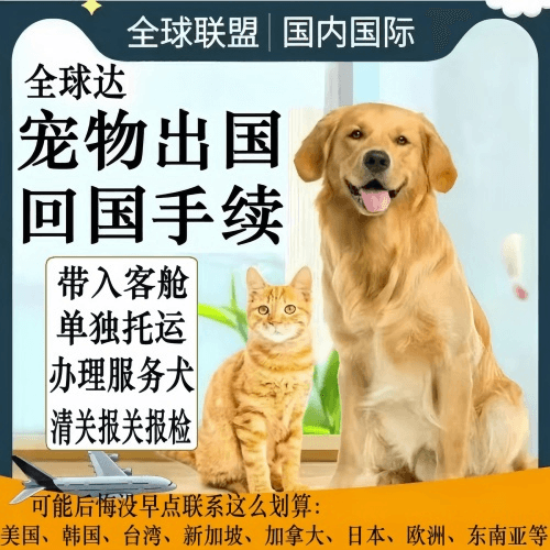 琼海市宠物托运到柬埔寨宠物入境规定和要求