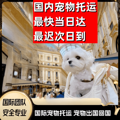 琼海市到澳大利亚（澳洲）宠物入境规定和要求